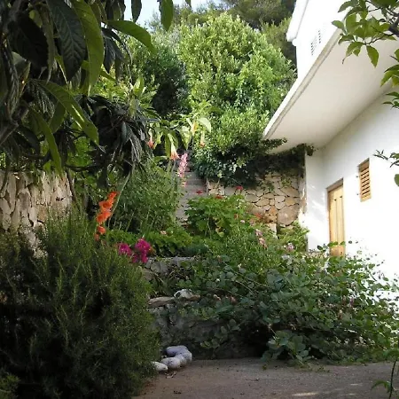 Zelko - With Garden